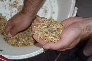 Pour l'alimentation hivernale, savoir prendre ce que la nature donne…