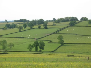 Un tournant décisif pour la candidature du Charolais-Brionnais au patrimoine mondial de l'Unesco
