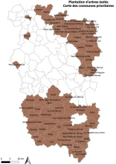 « Plantons 100 arbres isolés dans les prairies ! »