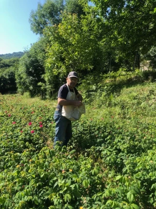 Une nouvelle vie dans les Cévennes !