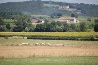 Le prix des terres agricoles en légère hausse