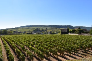 Je veux créer une AOC viticole