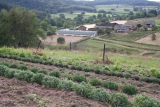 Pour le FMSE, face à la multiplication des risques sanitaires et environnementaux, la mutualisation s'impose