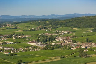 Viré-Clessé peut produire des vins levroutés et demi-secs !