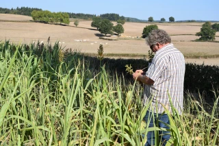 Vient de paraître :  “L’agriculture pourra-t-elle s’adapter au changement climatique ?”