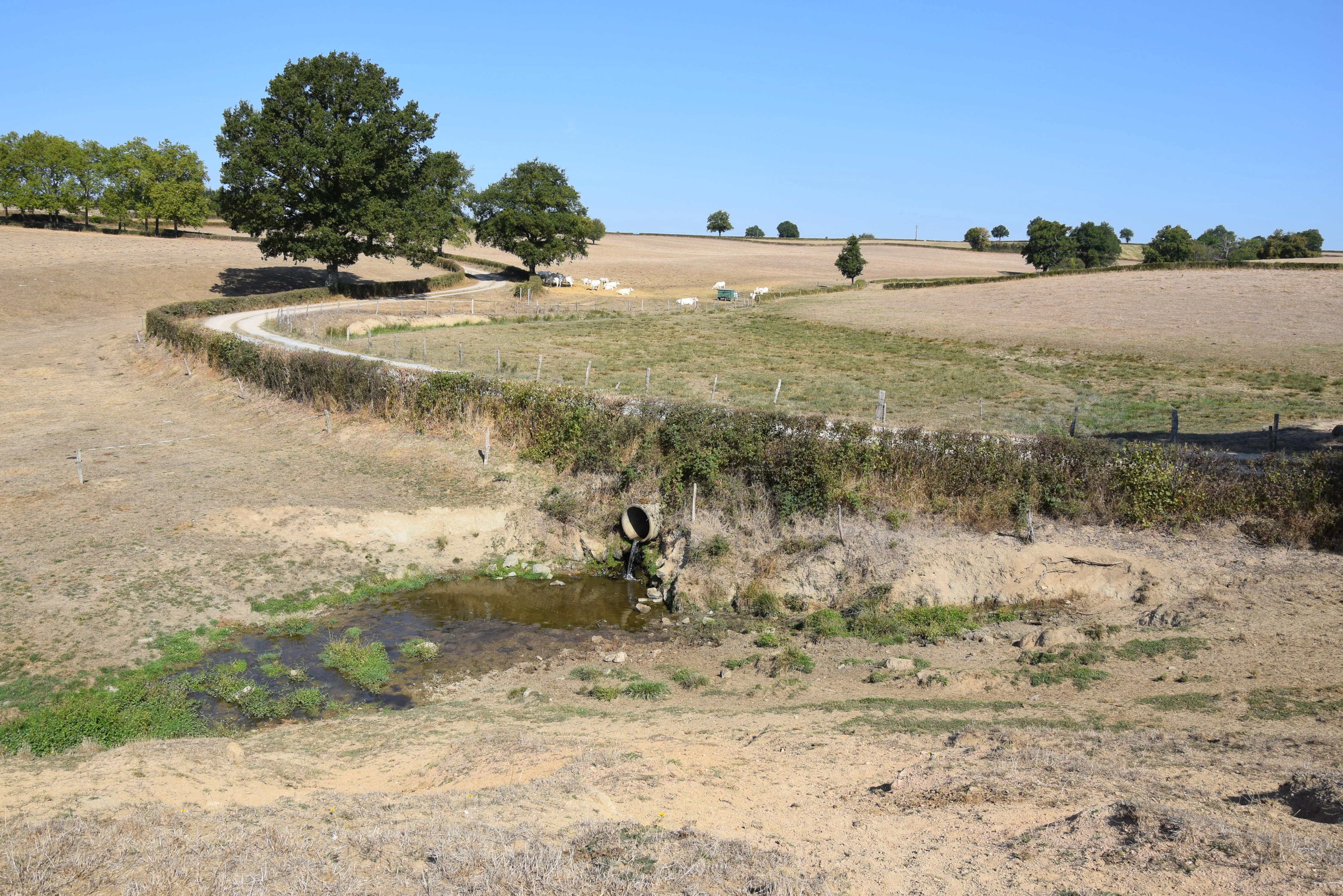 Adapter la Saône-et-Loire aux évolutions climatiques