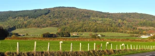 Les forêts omniprésentes en Saône-et-Loire