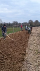 Un programme d’aide à la plantation de nouvelles haies