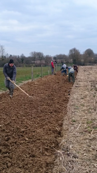 Un programme d’aide à la plantation de nouvelles haies
