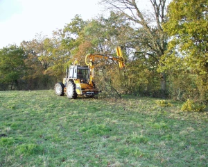 Le Gouvernement promettait un "droit à l'erreur" ambitieux. En Agriculture, il n'en sera rien...