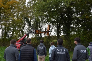 demonstration taille haie lamier