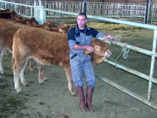 Le point sur les aides aux porteurs de projet en Agriculture