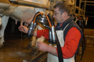Bruxelles se félicite du succès du programme volontaire de réduction de la production laitière...