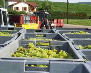 La Prestation de service internationale ? Oui, mais pas n'importe comment !
