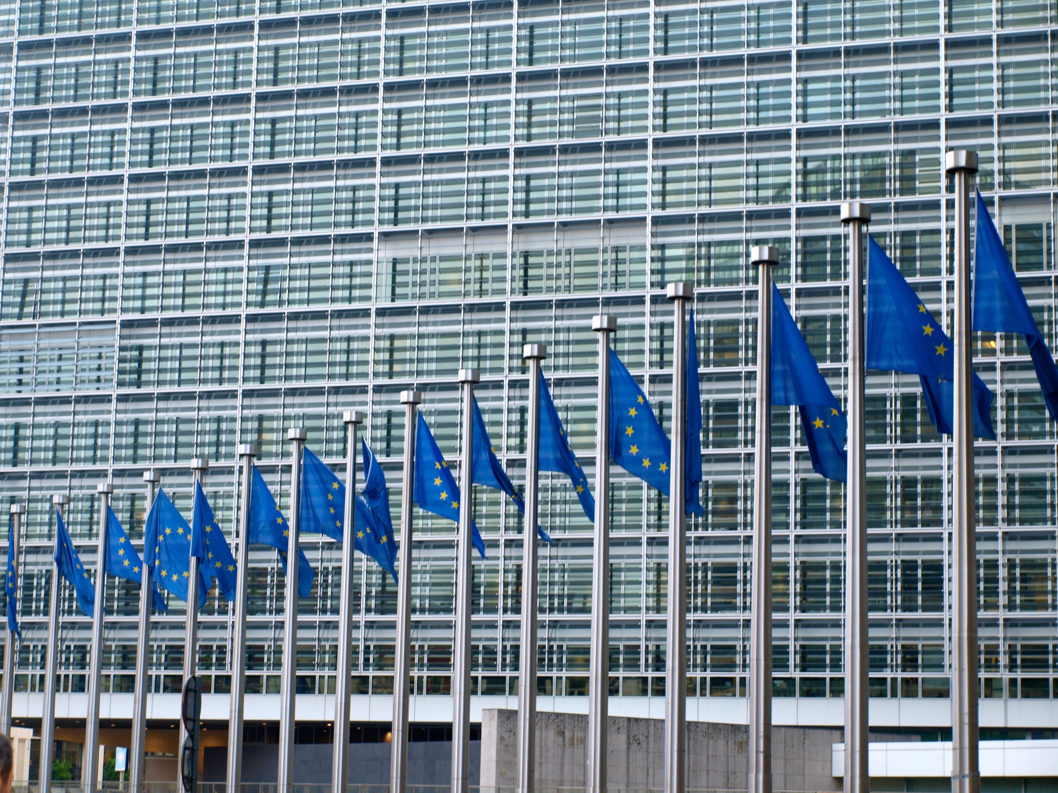 Bruxelles vient de publier les résultats de sa consultation sur l'avenir de la Pac...