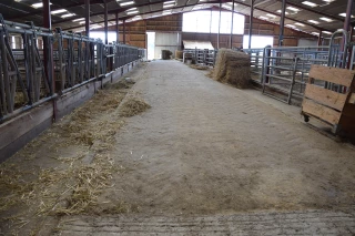 Matériau économe  : de la terre battue en guise de béton