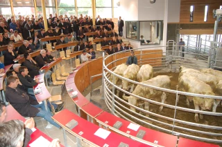 2016, une année à oublier pour le marché de Saint-Christophe-en-Brionnais