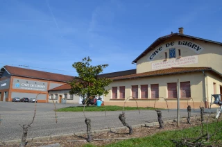La Cave de Lugny est toujours aussi performante