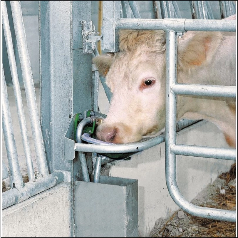 De l’eau disponible et accessible à volonté pour l'abreuvement des animaux !