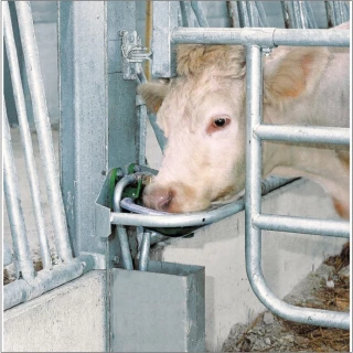 De l’eau disponible et accessible à volonté pour l'abreuvement des animaux !