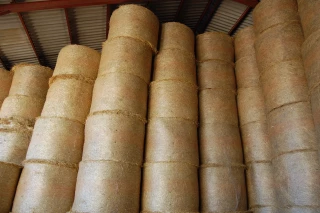 Alimentation des troupeaux allaitants : les conseils pour passer l’hiver