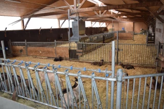 Le changement climatique déclencheur des travaux de rénovation