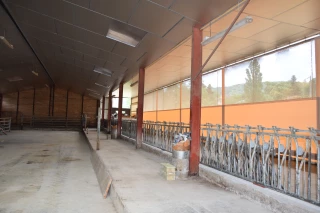 Une stabulation bovine transformée en chèvrerie à Champagnat