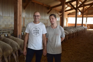 Seulement 1 h 15 pour traire 750 chèvres !