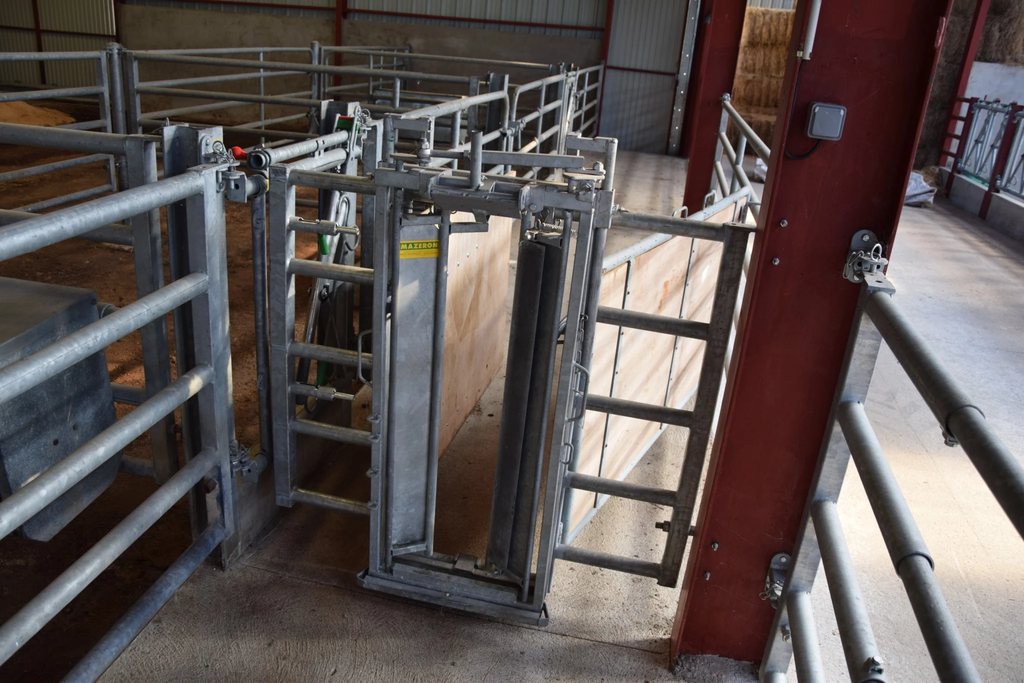 Une cage fixe pour traiter les petits veaux