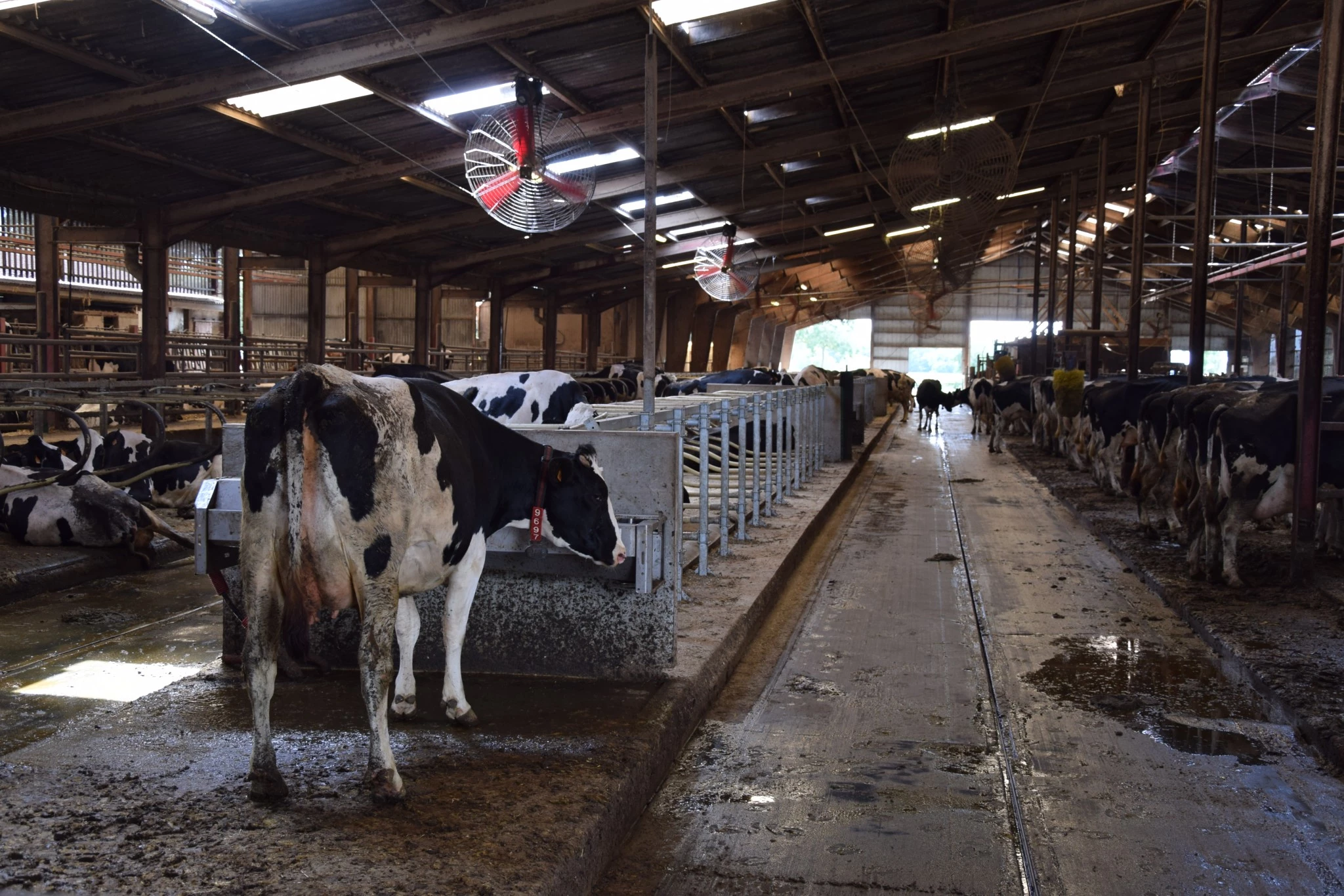 Robotisation et confort pour plus de production