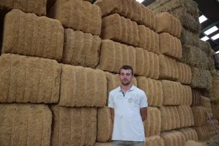 Simon Dumontet utilise de la balle de riz à la place de la paille pour la litière de ses charolaises