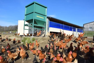 Poules pondeuses, vaches et chèvres au Gaec de la Ferme de Roussillon