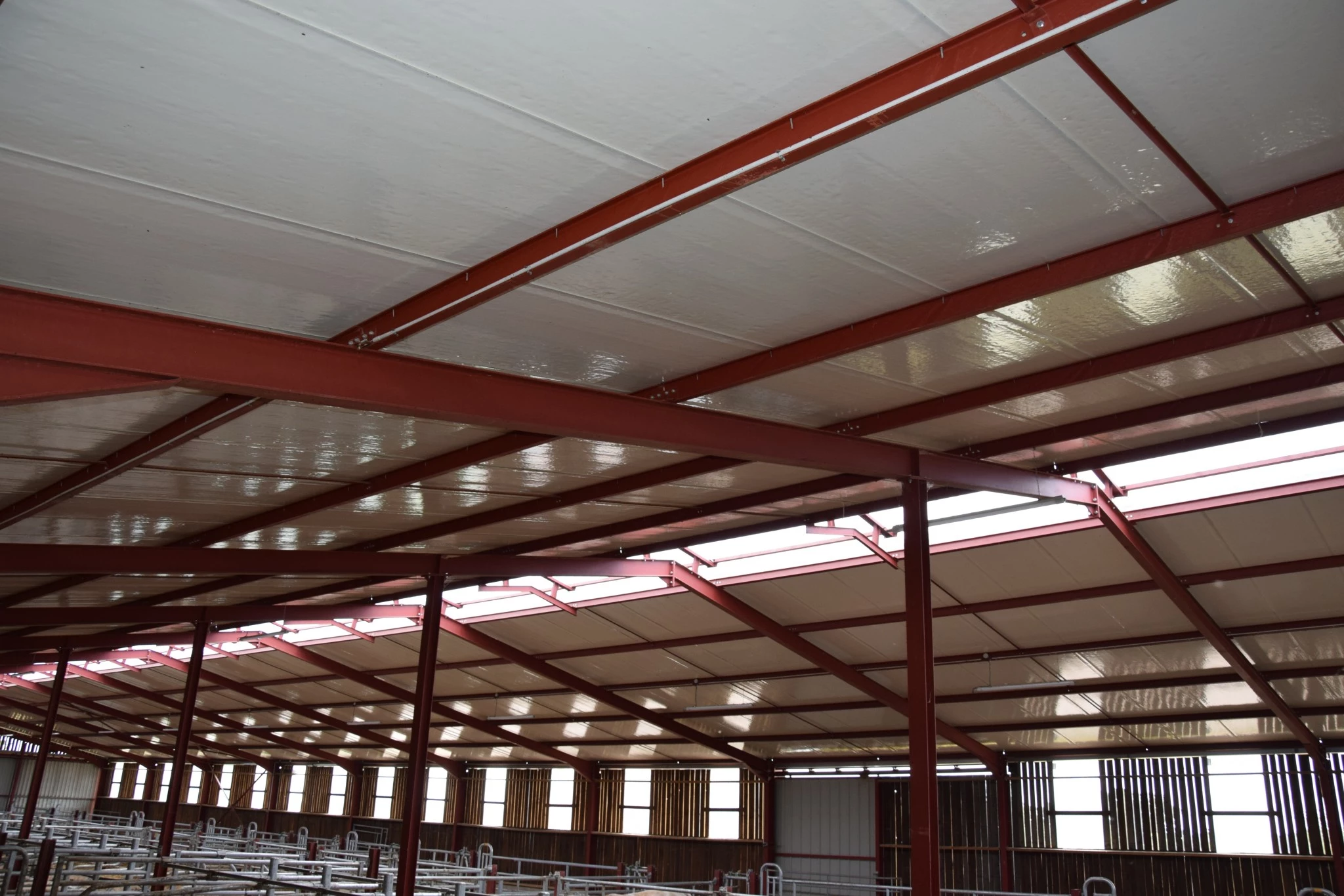 Plafond isolé et puits de lumière