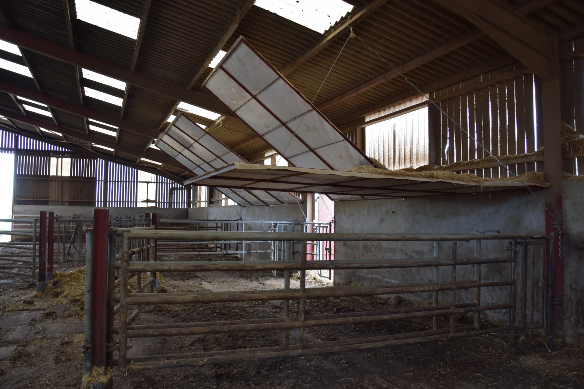 Bâtiment d'élevage : problème de ventilation partiellement résolu 