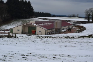 Des opportunités à saisir en productions « hors-sol »