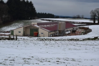 Des opportunités à saisir en productions « hors-sol » 