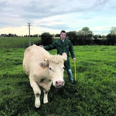 Les Rencontres "Made in Viande" débutent, ce sont sept jours pour expliquer nos métiers et nos passions au grand public