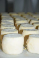 Fromagora, le concours national de fromages de chèvre fermiers aura lieu les 13 et 14 septembre