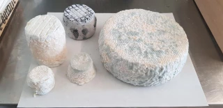 Fabrication de tommes lactiques de 1 kg