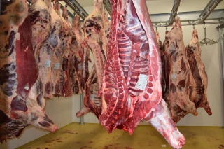 Pérenniser l’embellie dans les vaches