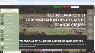Dégâts de gibier : la Saône-et-Loire se met à la télédéclaration  