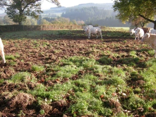 La Fédération des chasseurs ne lâche rien !