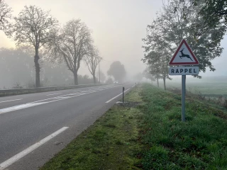 La mortalité de la faune sauvage par collision étudiée de près en Saône-et-Loire