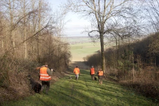 Chasse : une activité qui compte en Saône-et-Loire !