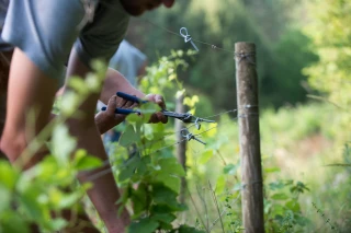 Vigneron en Bourgogne, un métier d’artisan