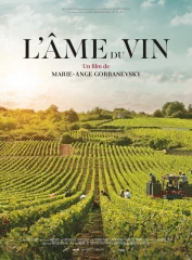 L’âme du vin au cœur du vignoble bourguignon
