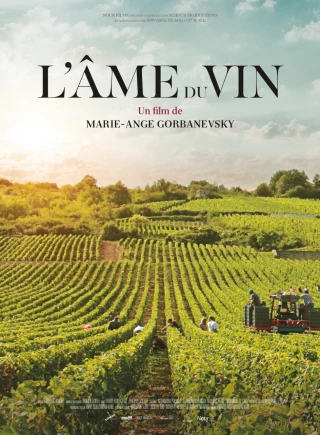 L’âme du vin au cœur du vignoble bourguignon