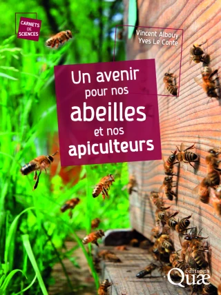 Les abeilles, ouvrières de notre avenir