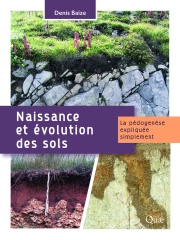 La pédogenèse expliquée simplement