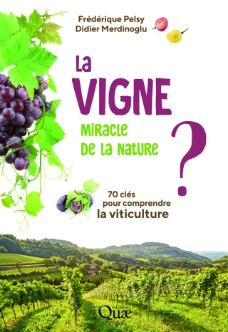 La vigne, le vin, la vie…